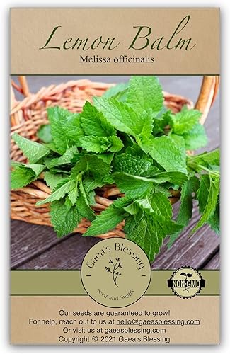 Gaea's Blessing Semillas – Semillas de bálsamo de limón – Semillas sin OMG con instrucciones de siembra fáciles de seguir – 92% tasa de germinación
