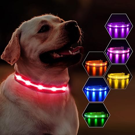 Masbrill led dog collar charger Clearance