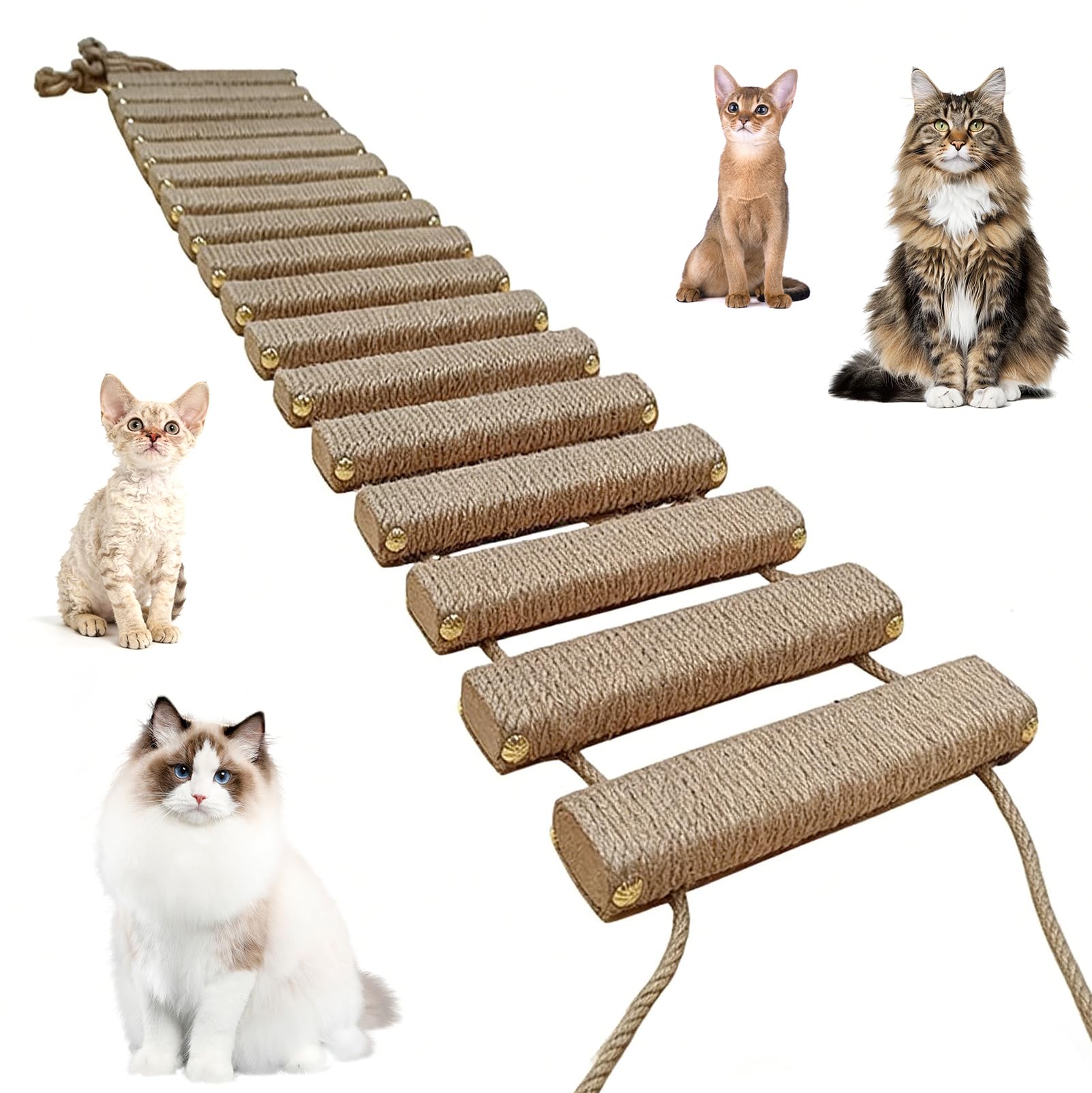 Katzenleiter 150 cm, Katzenleiterbrücke aus Holz & Sisalseil, Klettergerüst für Katzen, Aktivitätskratzbaum, Hängematte, Katzentreppe für Wand, Haustiermöbel, Khaki
