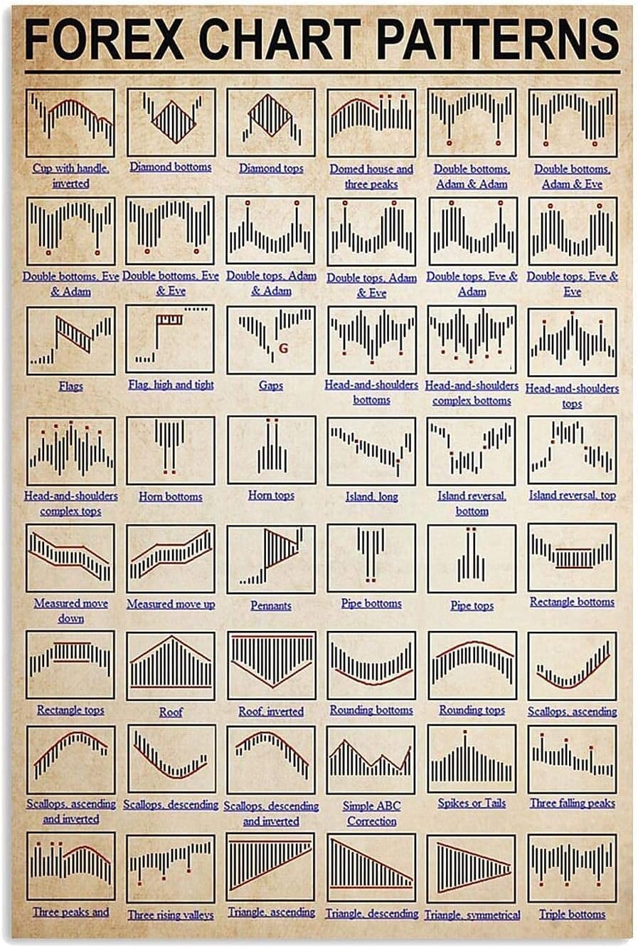 Amazon.co.jp: 外国為替チャートパターンの知識 レトロな外観の装飾プラークサイン にとって 農家 トイレ ガレージ 家の装飾 20X30  CM : ホーム＆キッチン
