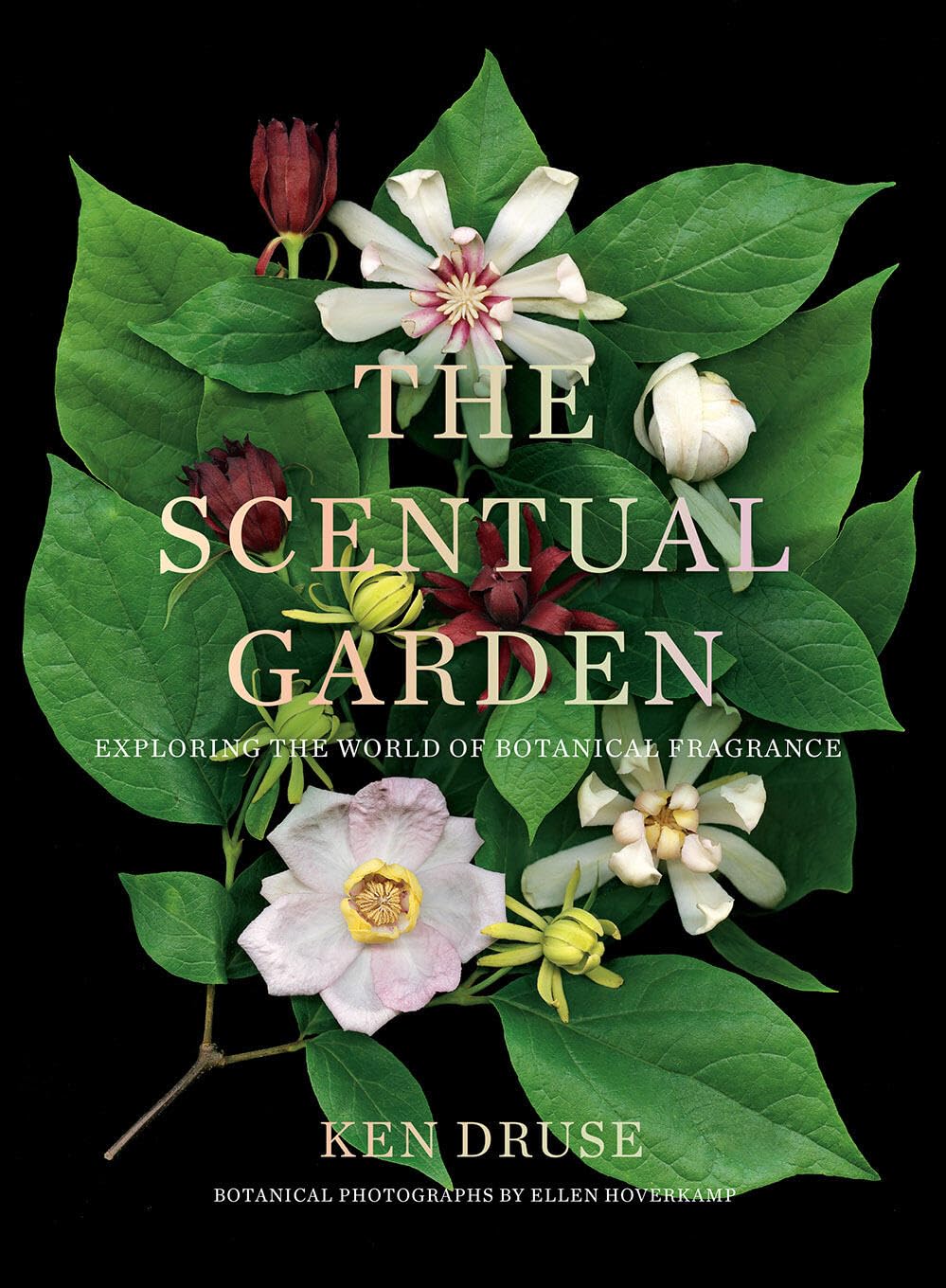 The Scentual Garden: Exploring the World of Botanical Fragrance The Scentual Garden: Exploring the World of Botanical Fragrance