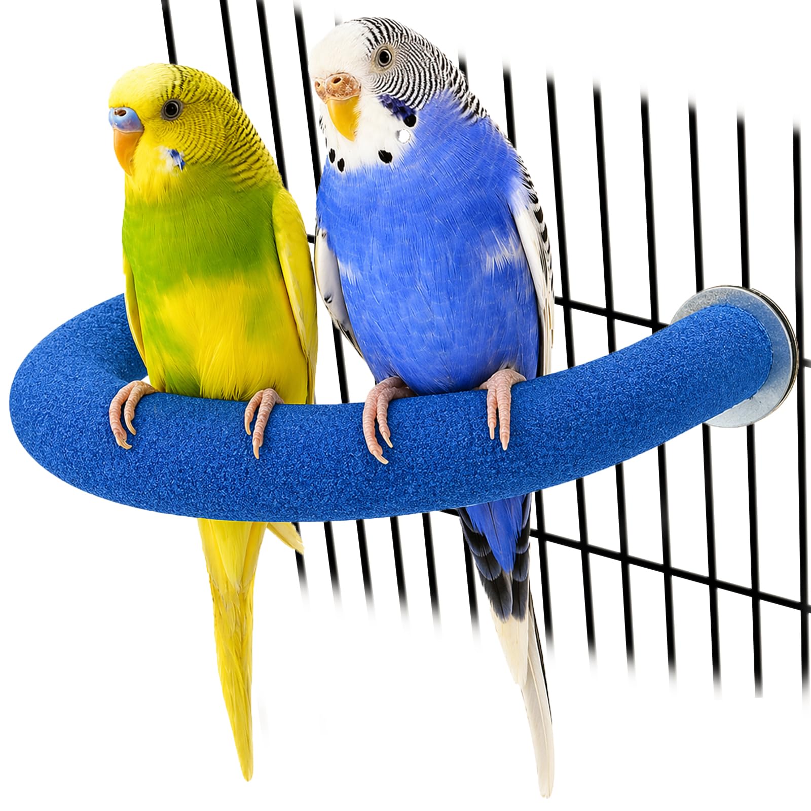 Rypet U-Shaped Parrot Perch, Quartz Bird Perch for Cage(Blue S)