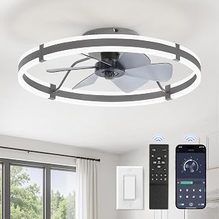 ZMISHIBO Low Profile 24'' Ceiling Fans with Lights and Remote, Gray