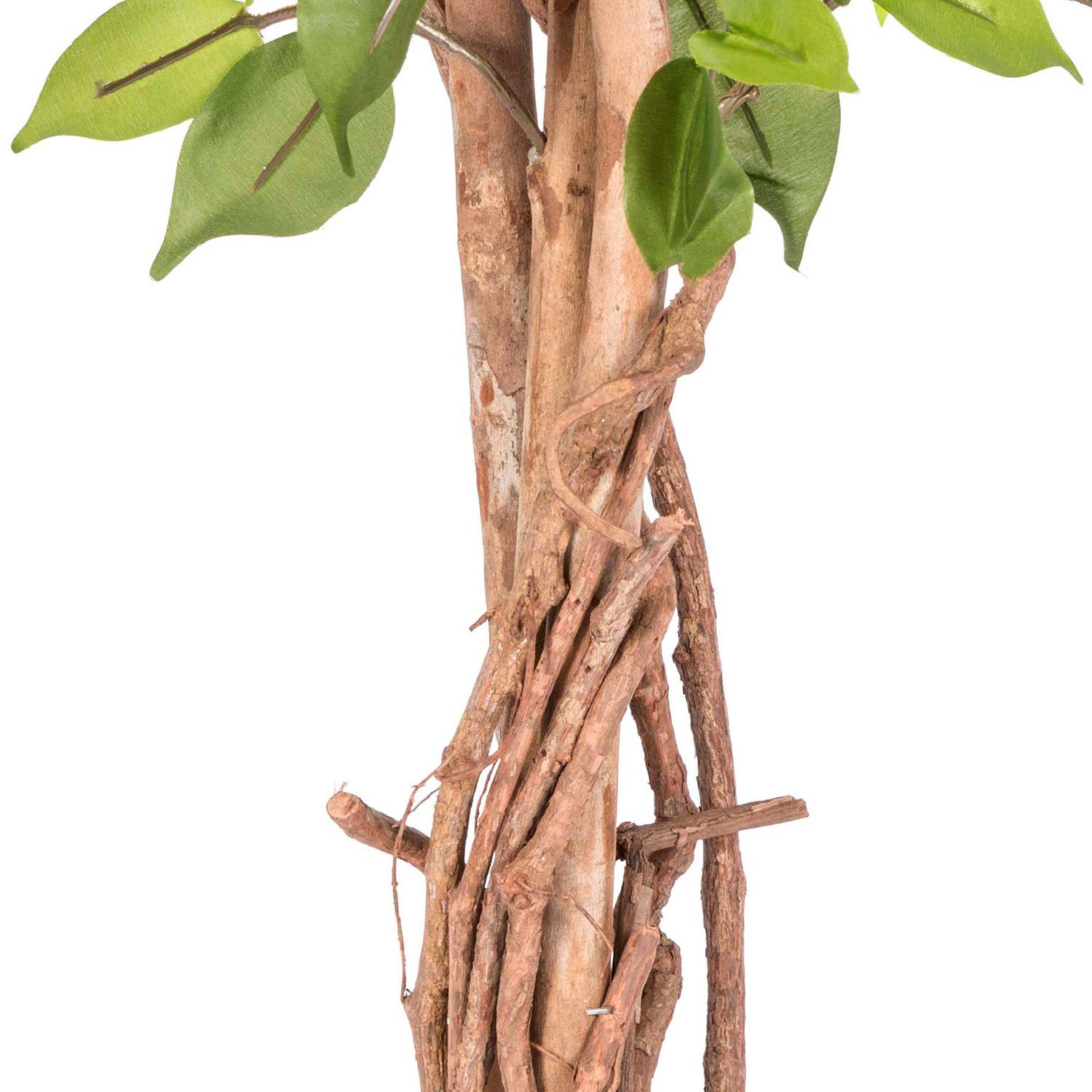 Buy HOMESCAPES 4 Feet Green Ficus Tree With Real Wood Stems and