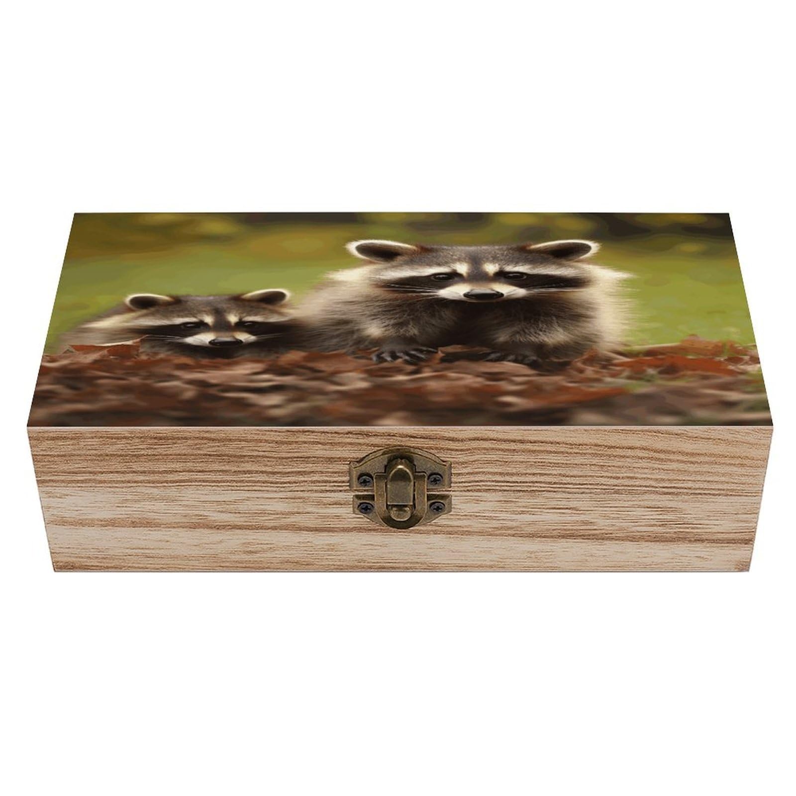 VstaDank Raccoon Wooden Storage Box with Hinged Lid Natural Wooden Box Beautifully Keepsake Boxes Vintage Wood Boxes Jewelry Organizer Trinket Storage Chest Unique Gift