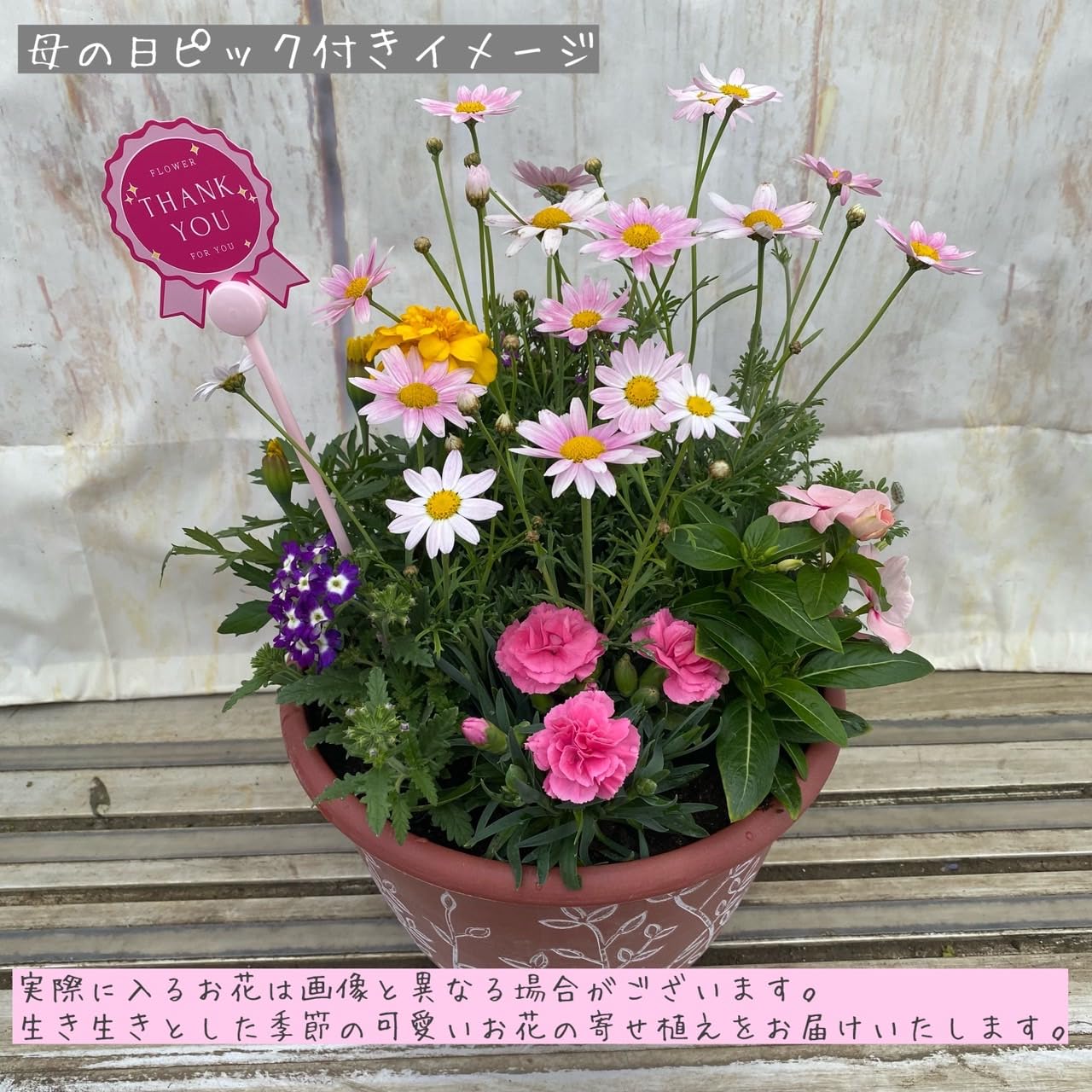 Amazon.co.jp: 季節の寄せ植え アンティーク柄 2鉢セット 軽量 