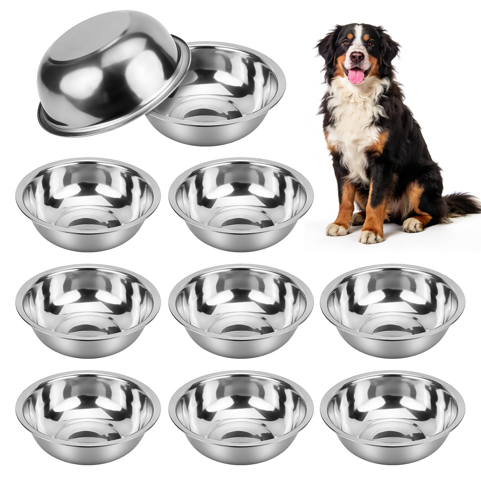 Set di 10 ciotole per cani in acciaio inox, 2,4 g/10,75 tazze, ciotole in metallo per cibo e acqua, ciotola grande per acqua o ciotola per animali domestici, per interni o esterni, lavabili in