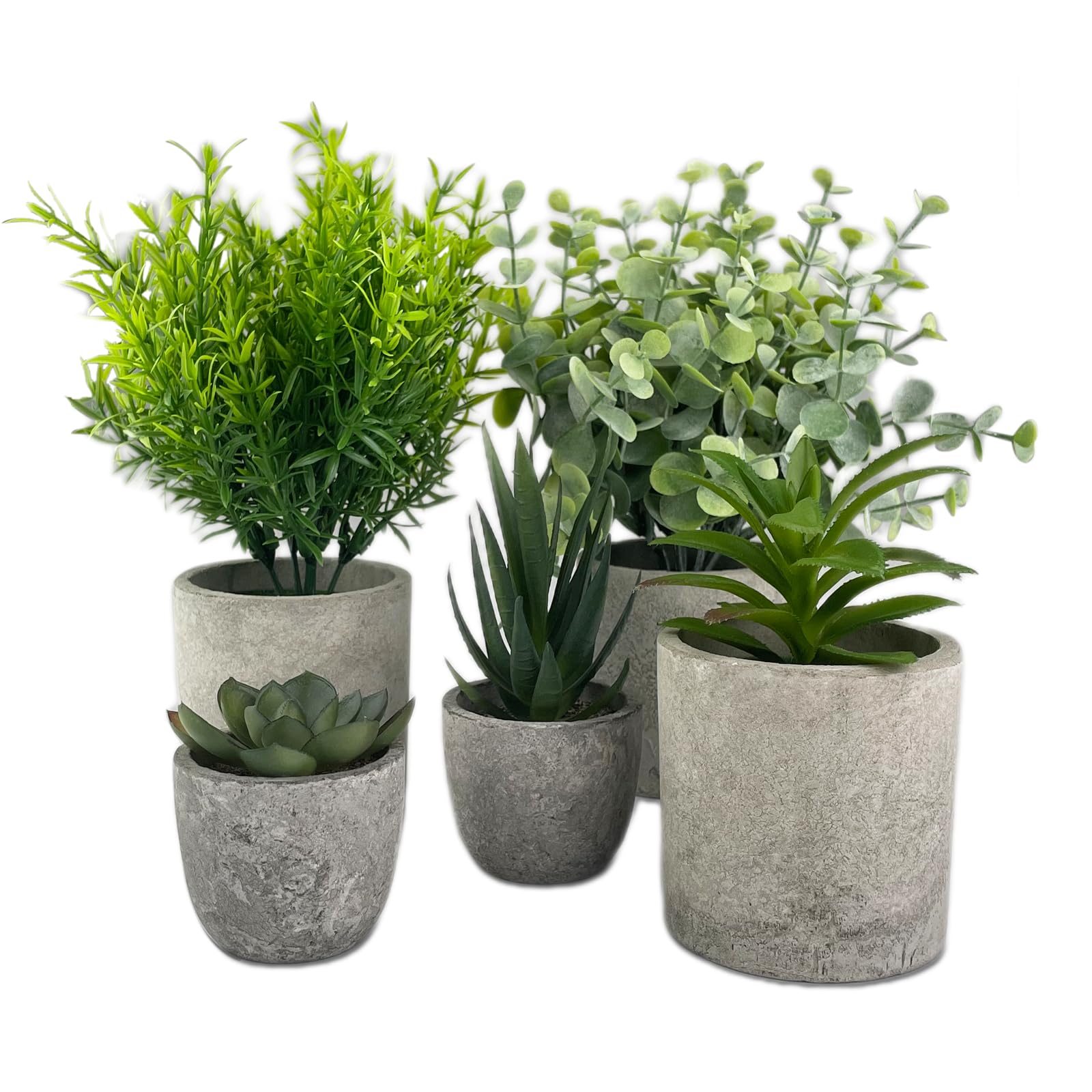 5 Pezzi Piante Artificiali, Mini Piante finte Serpentine, Eucalipto, Agave Succulente, Aloe Artiglio d'Aquila, Piante artificiali da Interno e da Esterno per Camera da Letto Ufficio