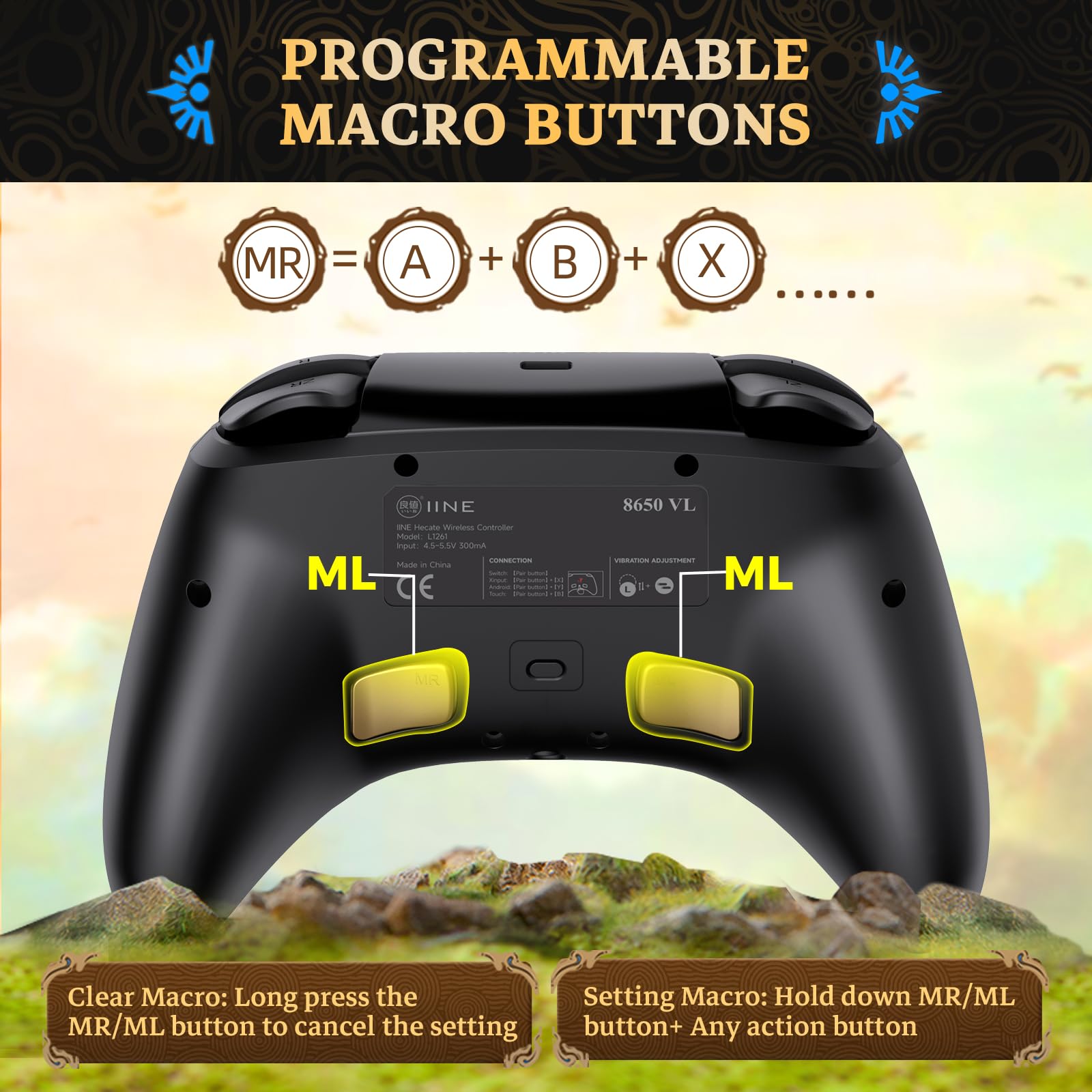 Amazon.com: IINE Wireless Switch Controller, Switch Pro