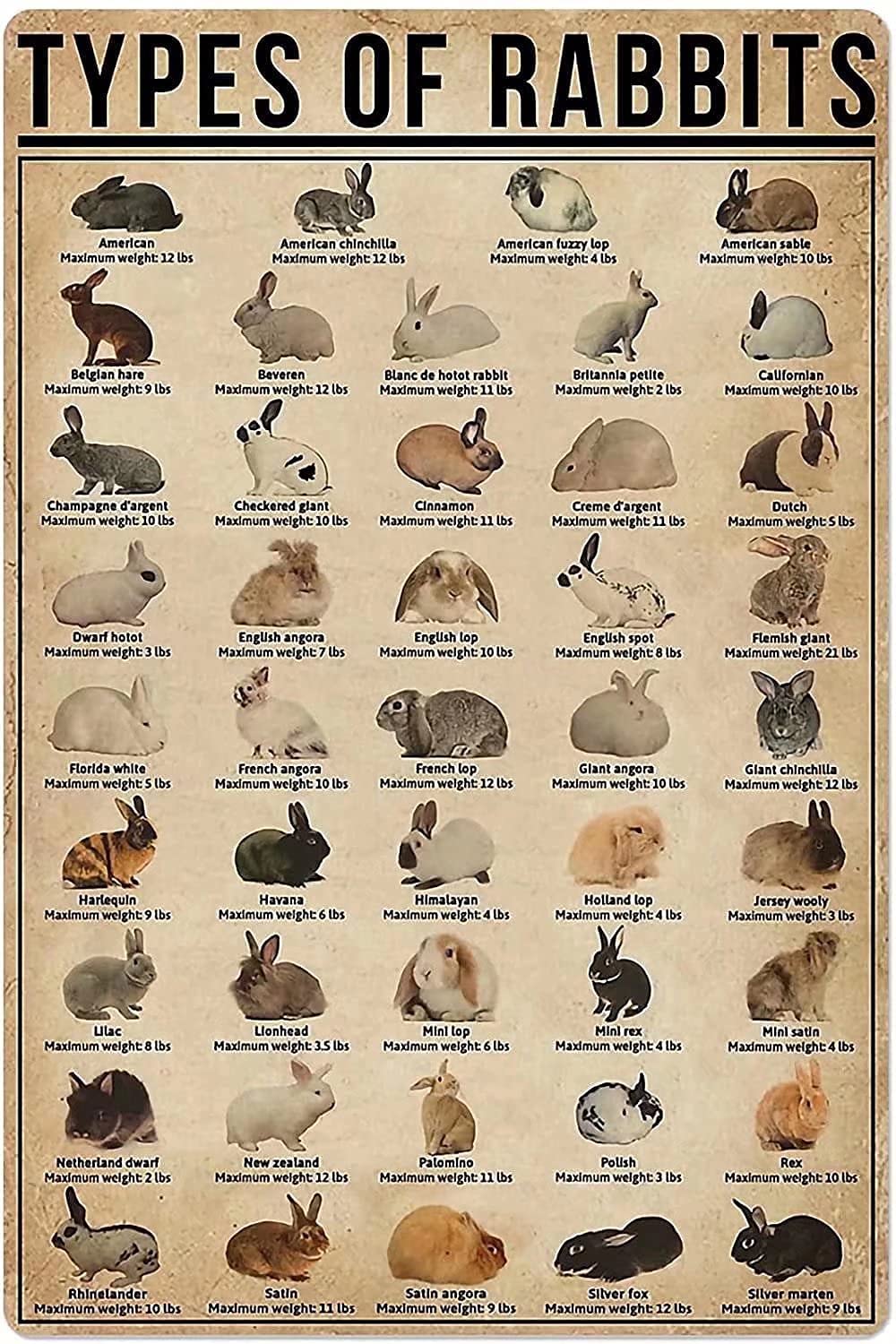 types of rabbits Metal Signs, Fun Poster For Bar Kitchen Cafe Farmhouse Wall Decor 12x16 inch