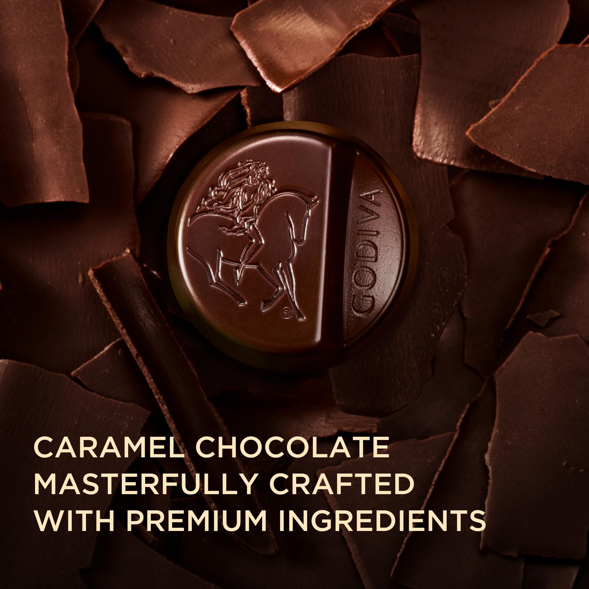 Amazon.com: Godiva Masterpiece Dark Chocolate Bag, Caramel Center