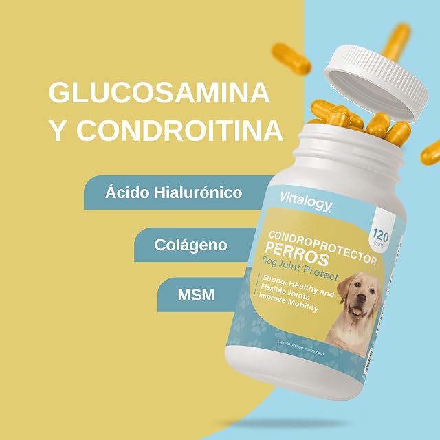 Foto 5 de 8 de Condroprotector para Perros. Antiinflamatorio Natural con Colágeno, Condroitina, Hialurónico y Cúrcuma
