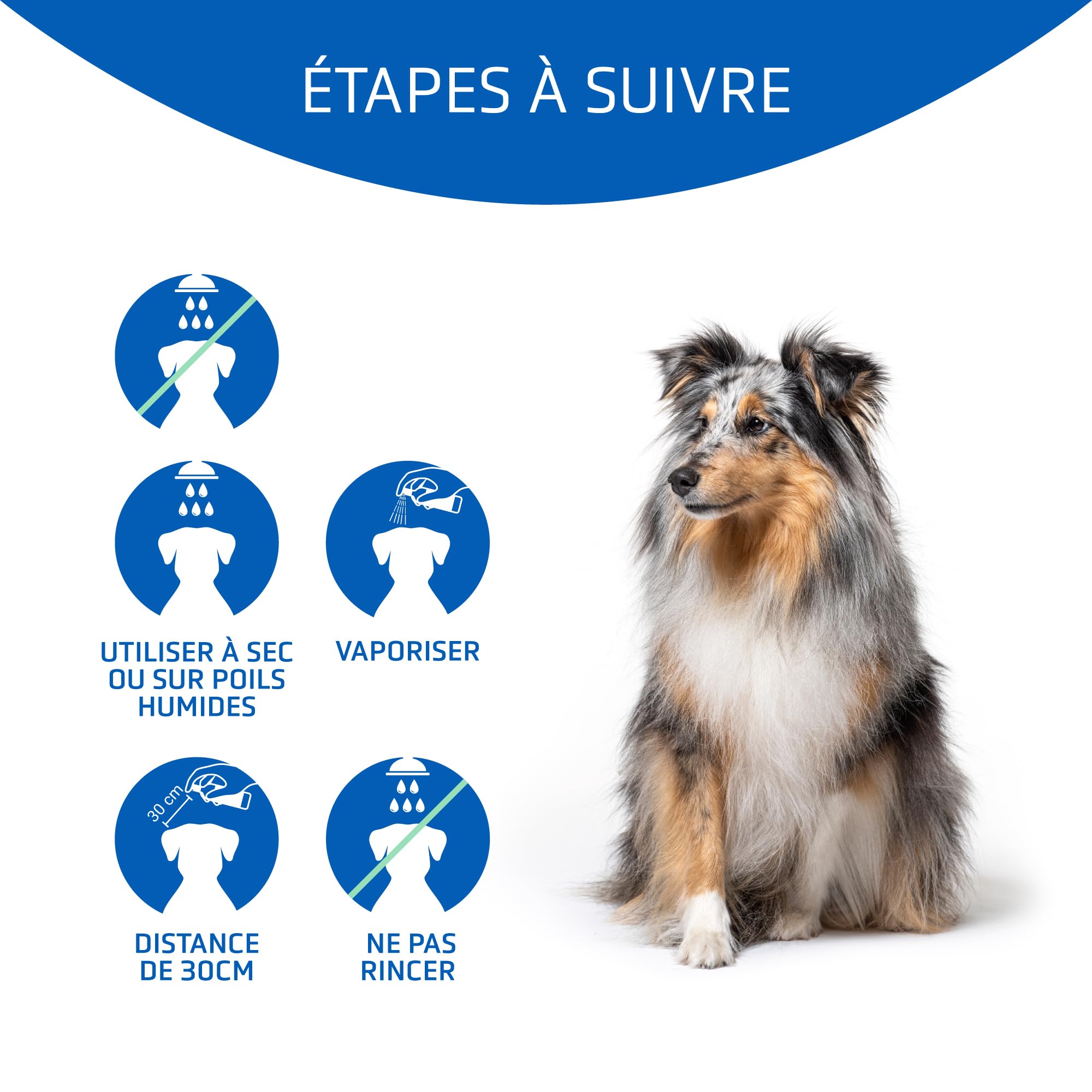 Démêlant-conditionneur Matt-X d'Artero pour Chiens et Chats.