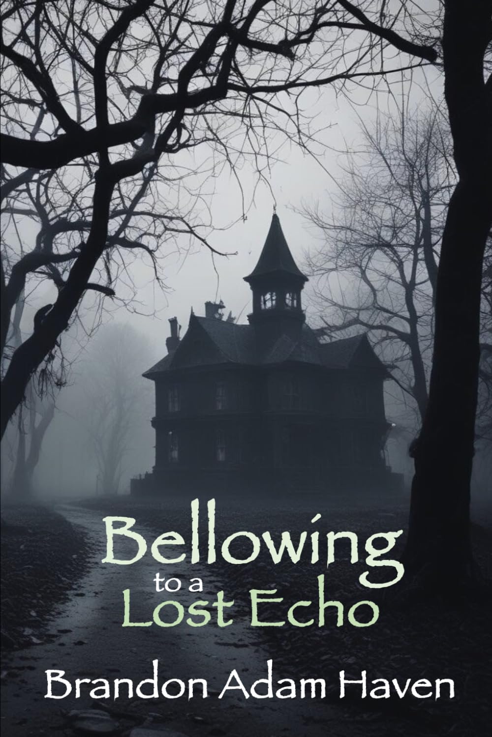 Bellowing to a Lost Echo