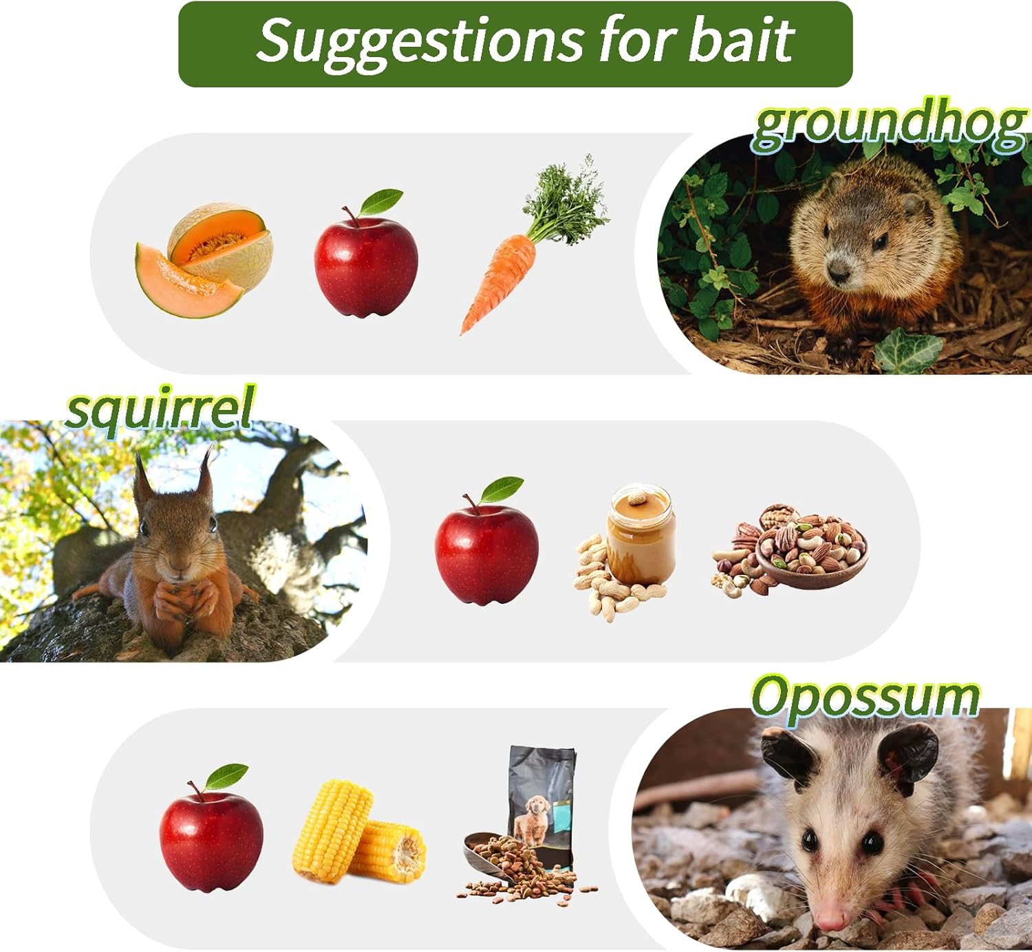 Live Rodent Trap Cage for Humane Catch and Release Mice,Rats and Squirrel