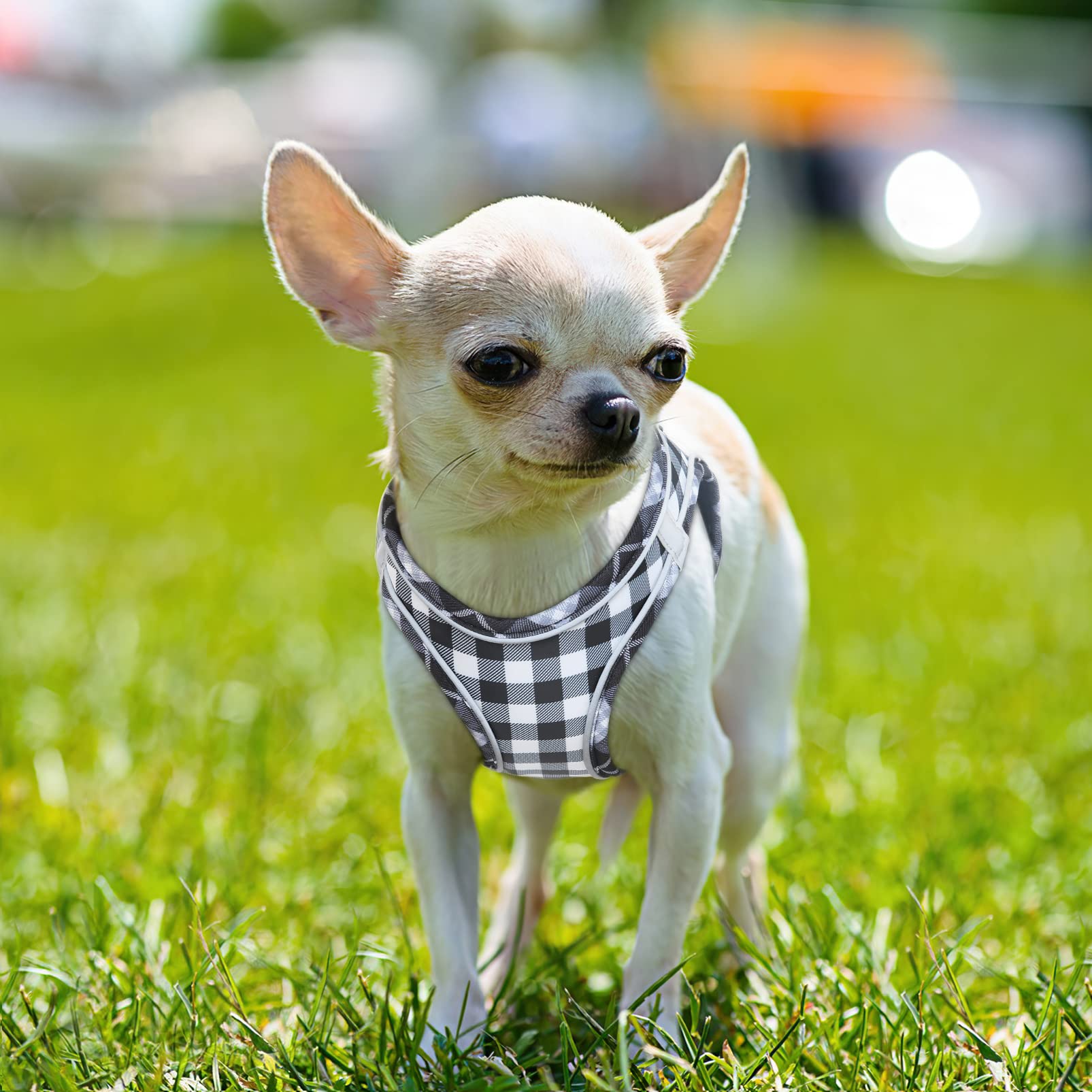 HEELE Arnes Perro Pequeño con Lineas Reflecantes Arnés Perro Antitirones Ajustable Suave Acolchado Cómodo para Viajar Pasear con Mascota, Flores Nanranja, S — view 28