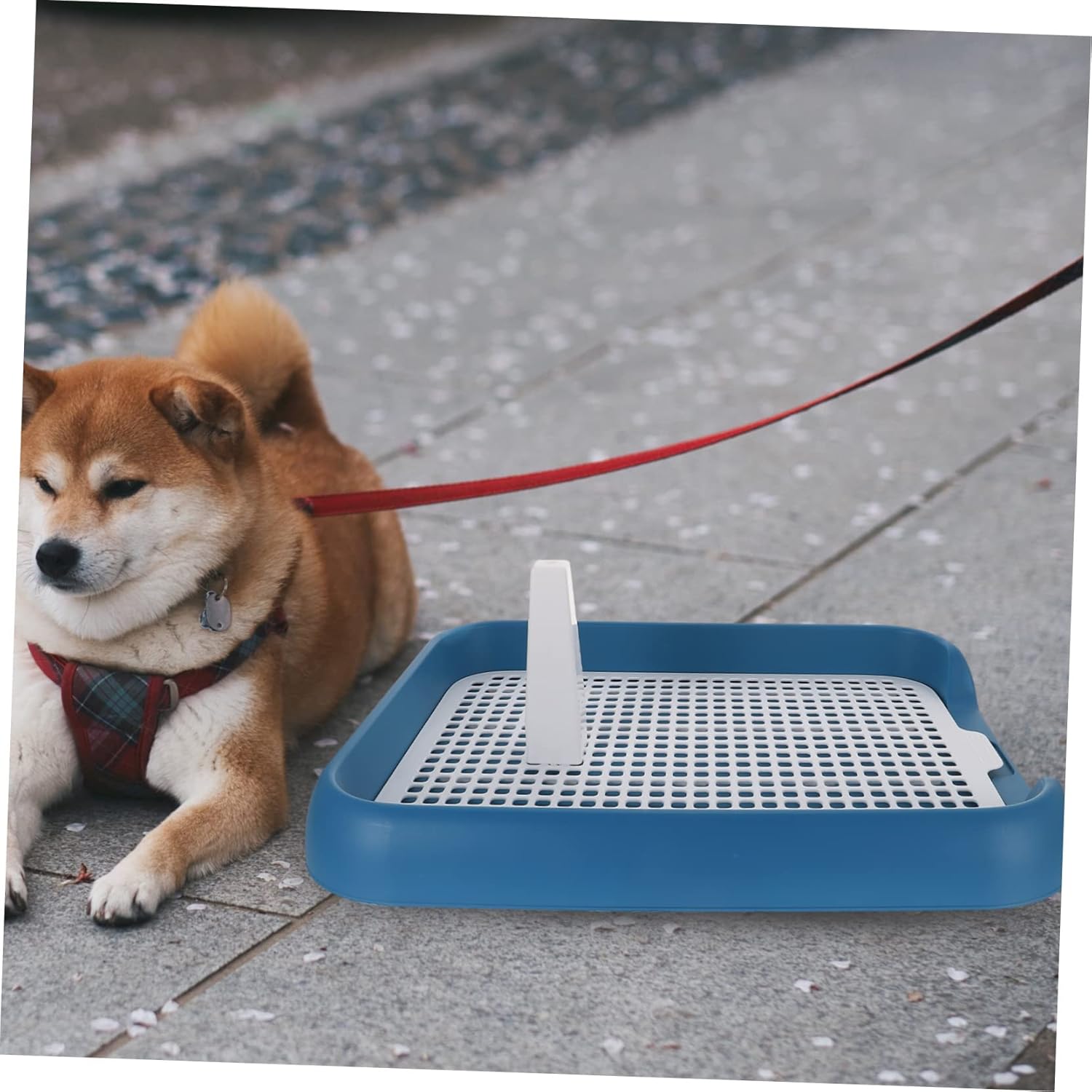 VICASKY Mesh Pet Toilet Puppy Sit Pad Dog Toilet Pet Supplies for Puppies Indoor Dog Potties Easy Washable Comfortable