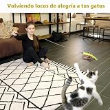 Ver la foto 7