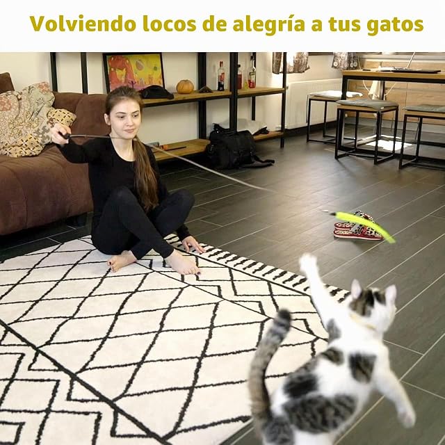 Foto 7 de 8 de Juguete con plumas para gato, 2 varillas retráctiles con 9 terminales diferentes, divertido