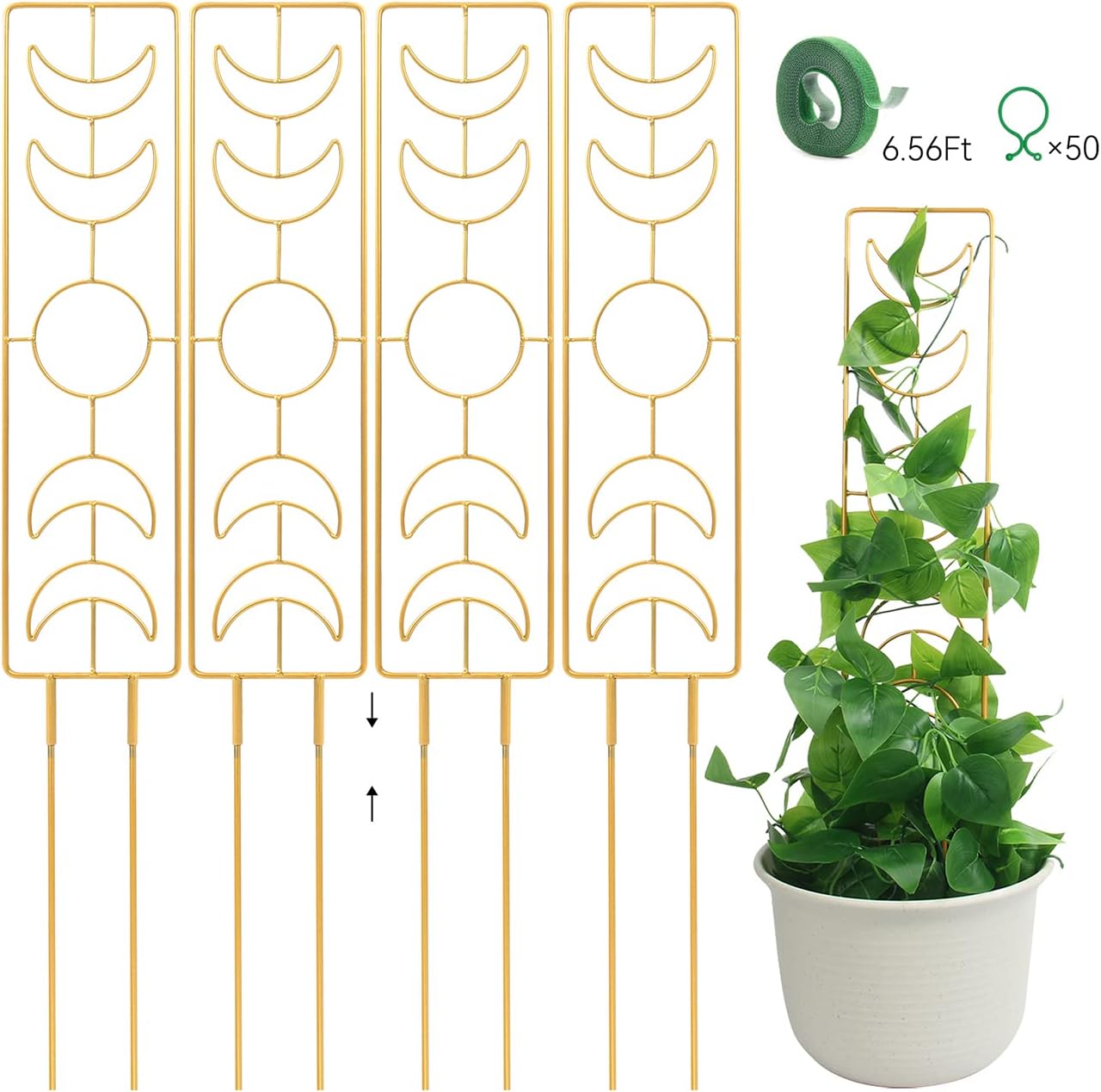 Amazon.com : 4 Pack Indoor Climbing Plant Trellis, Small Trellis for ...