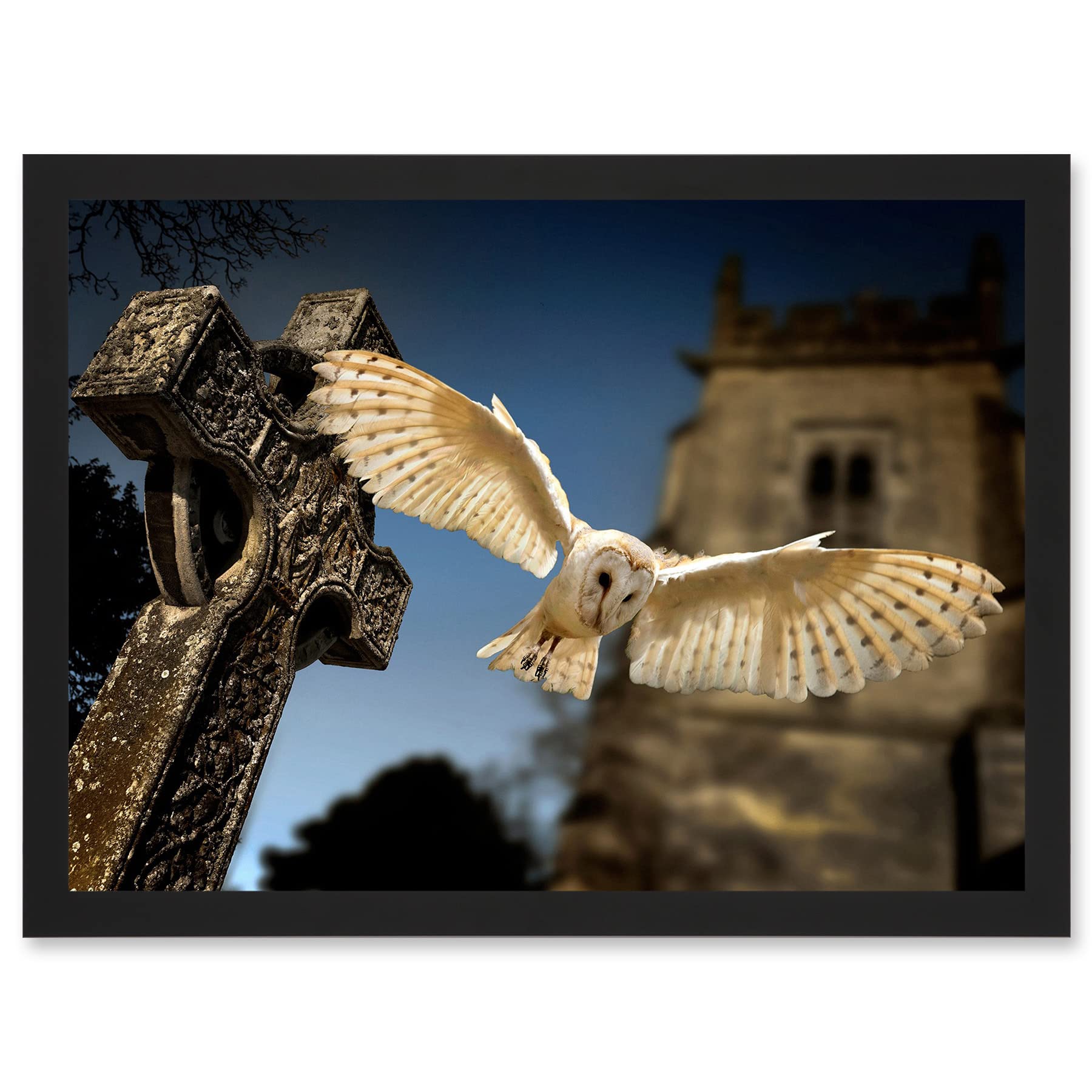 Artery8 Photo Barn Owl in Flight Bird Alba Graveyard Scotland Artwork Framed Wall Art Print A4
