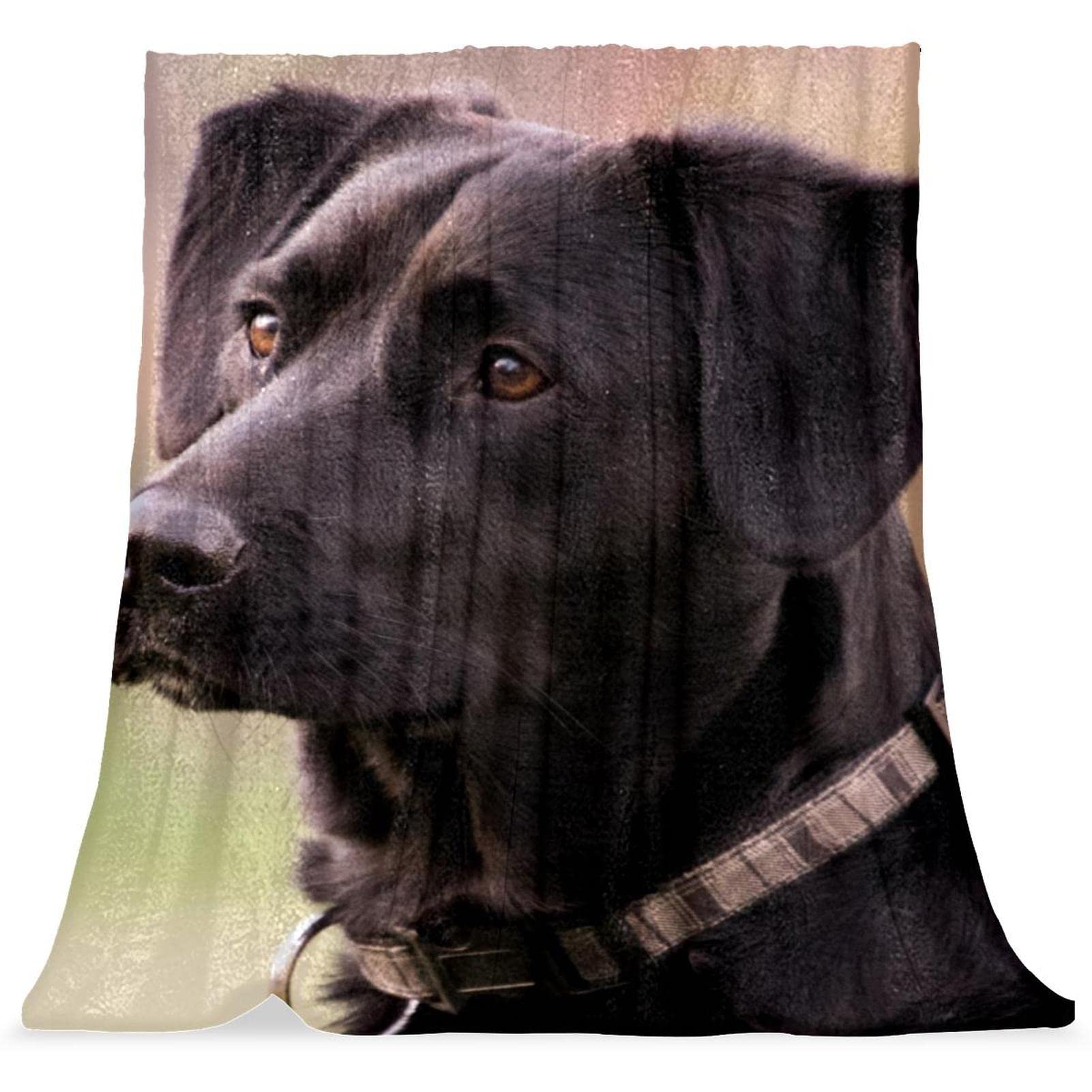 Couvre-lit doux TBOUOBT pour chambre enfant couverture confortable motif chien noir