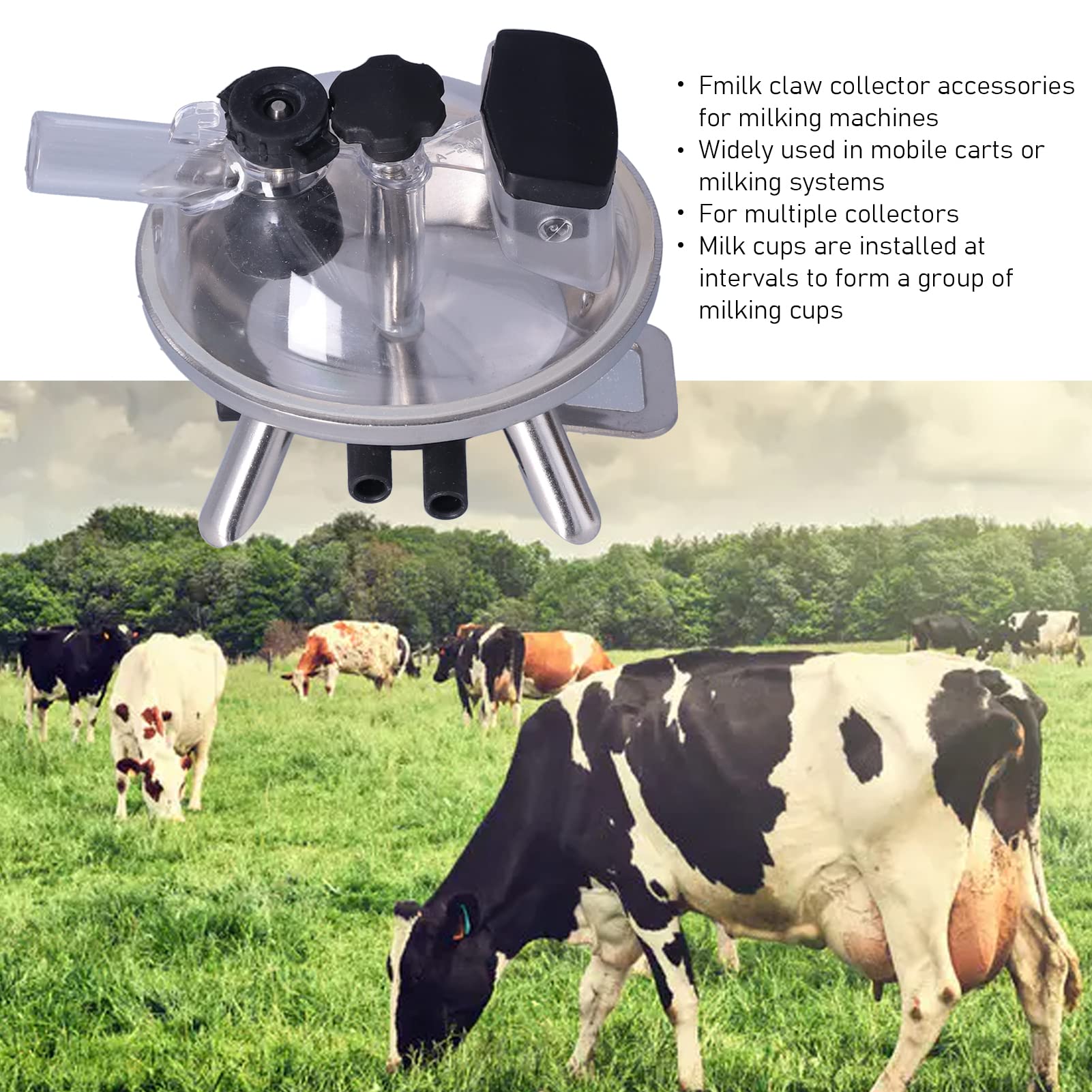 Collecteur De Lait De Vache, Accessoire De Machine à Traire De Ferme Efficace De 240 ML avec Base en Acier Inoxydable