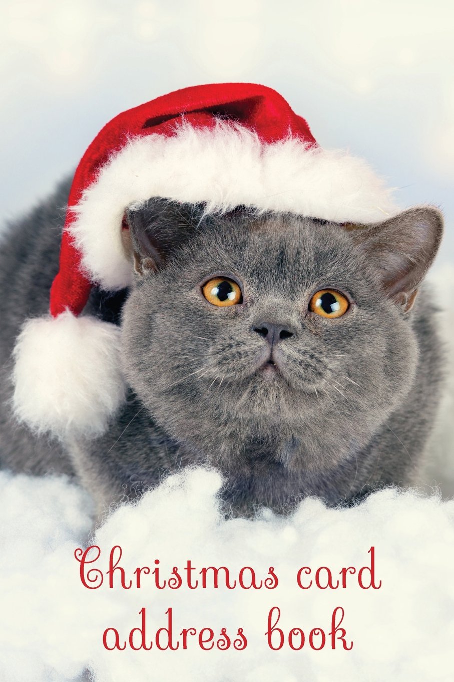 Christmas card address book: An address book and tracker for the Christmas cards you send and receive - Christmas cat cover (Christmas notebooks)