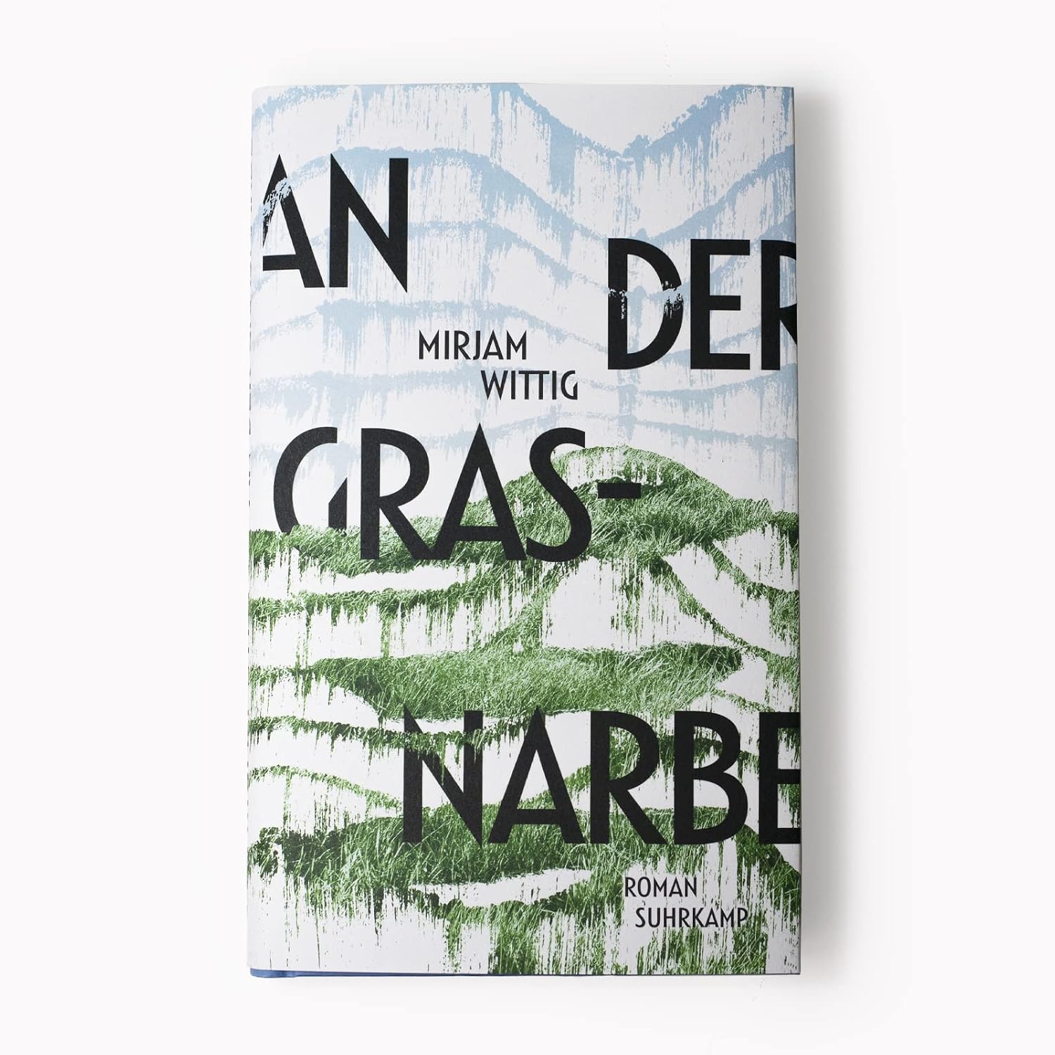 An der Grasnarbe: Roman