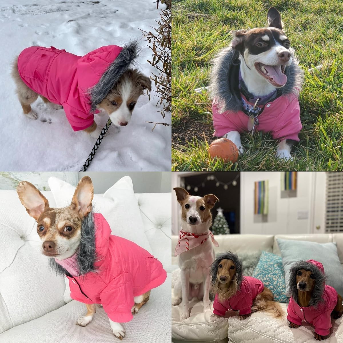 LESYPET - Abrigo para Perros de Razas pequeñas a Medianas con Capucha