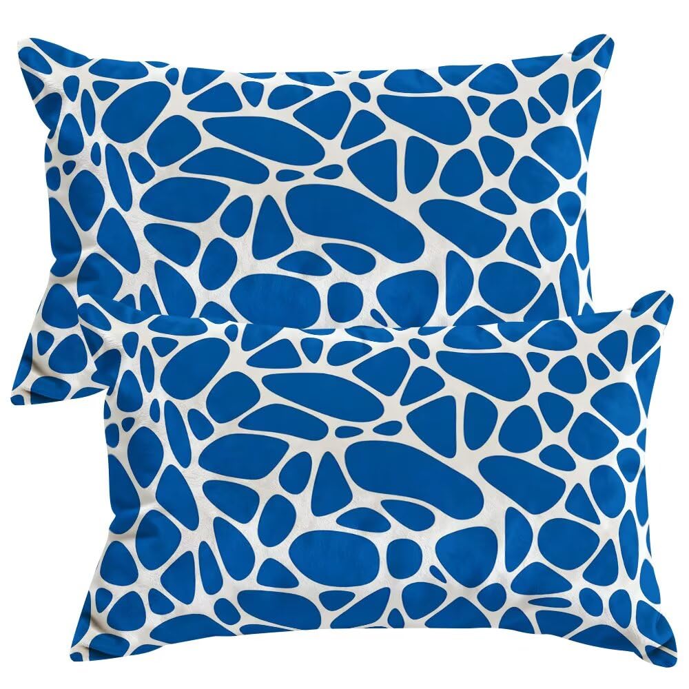 Set of 2 Velvet Cushion Covers 40x60 cm Abstract Cushions Covers Decorative Throw Pillow Case Blue Sofa Pillows 16x24 Inch Rectangle Cushion Cover with Invisible Zipper for Livingroom Bedroom -SC513