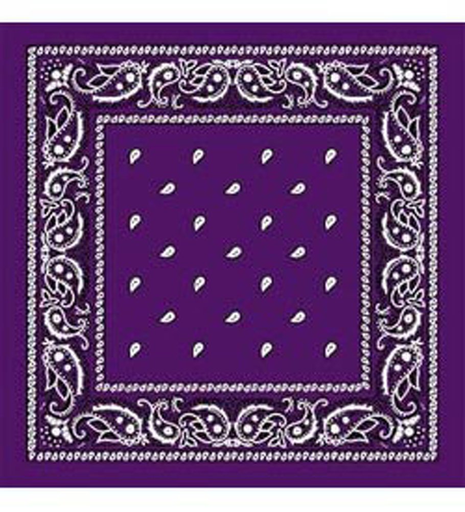 Purple Bandanna - Paisley