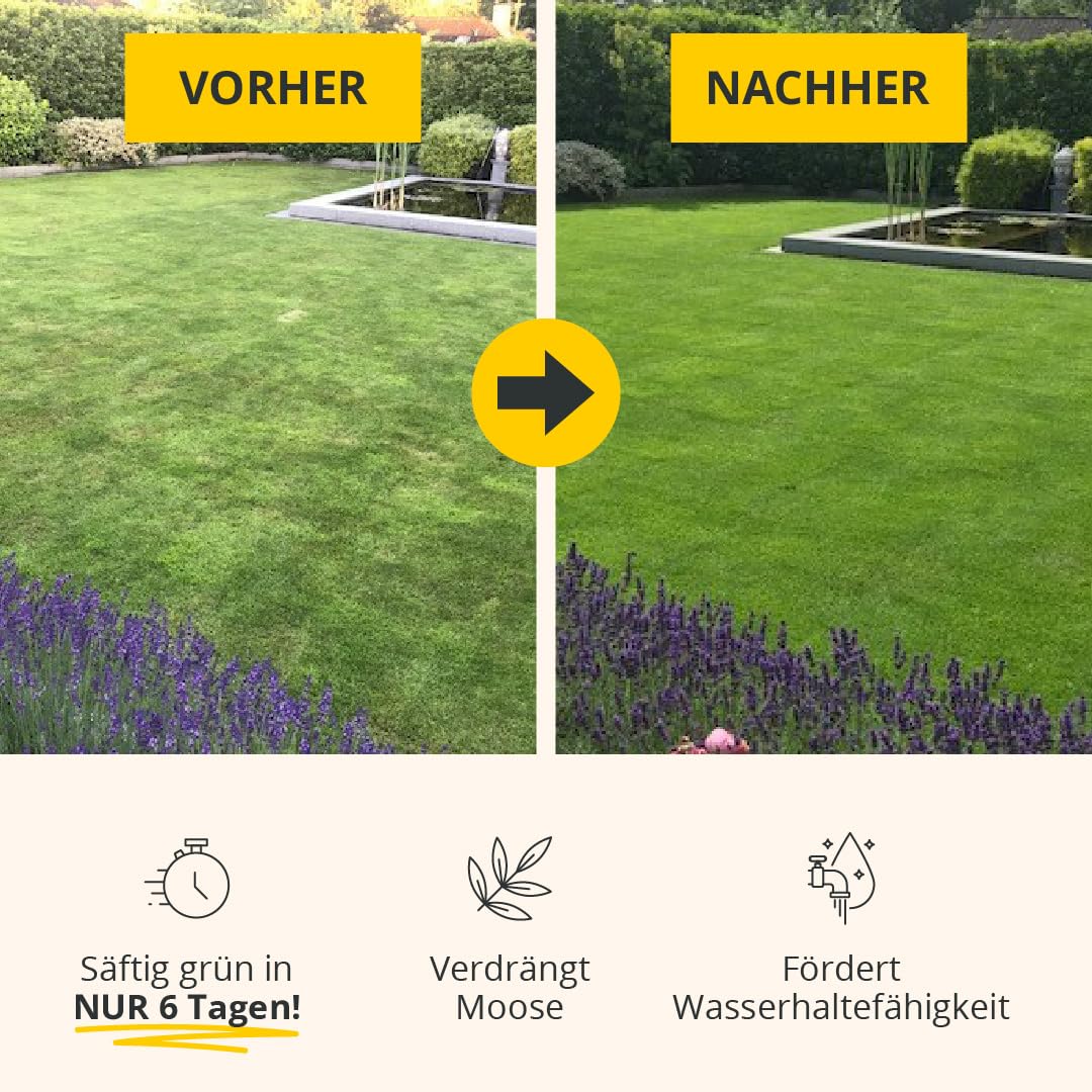 Matthies Rasen Volldünger 20kg für 200-500 m², Langzeit Gartendünger für Frühjahr, Sommer & Herbst, organischer & mineralischer Dünger mit Stickstoff, Phosphor & Kalium, Langzeitdünger