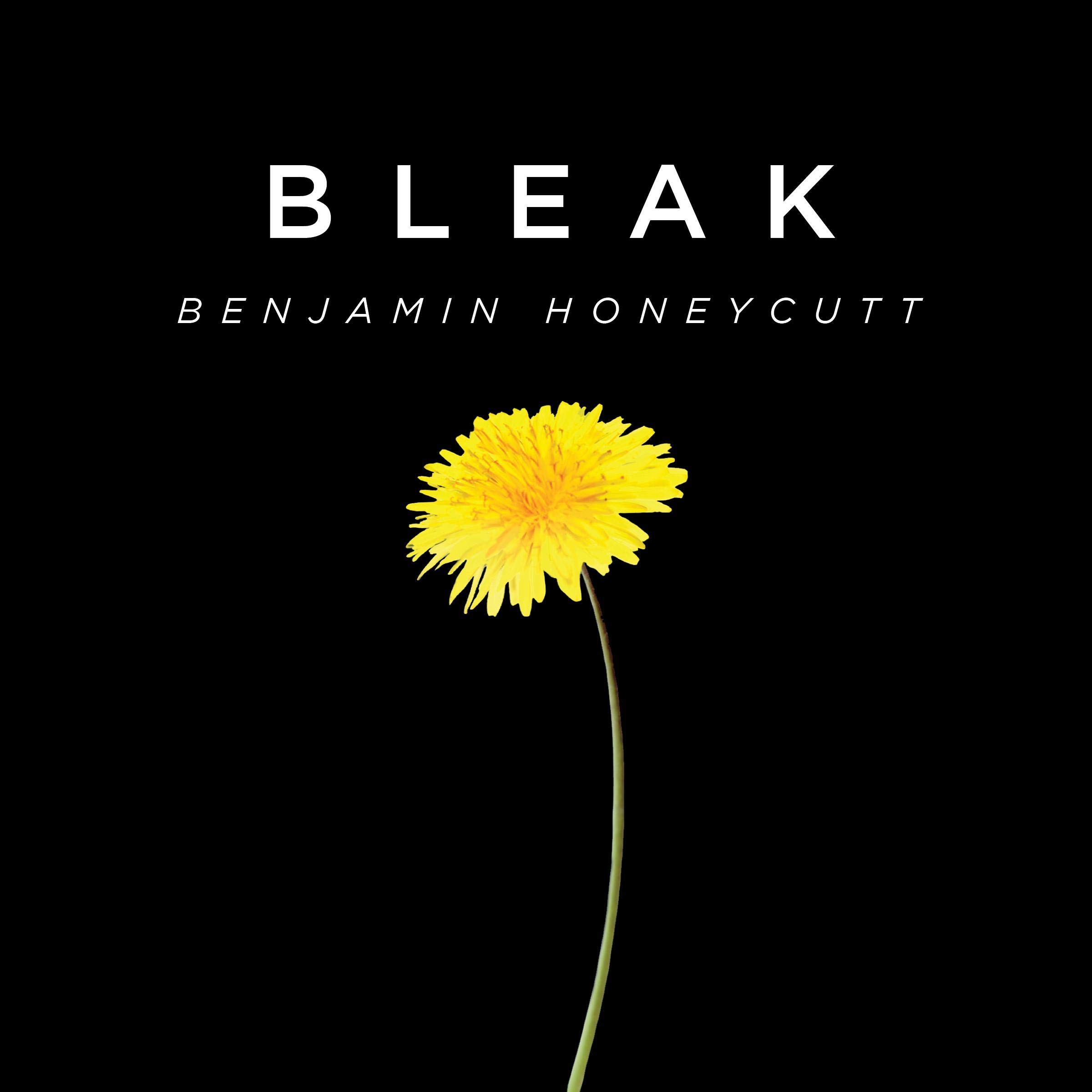 Cover art for Bleak
