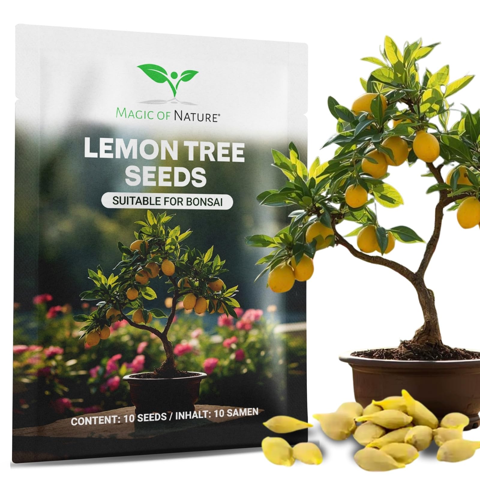 Dwarf Lemon Tree Seeds - 10 pcs/Bag - cultivable as Bonsai or Tree