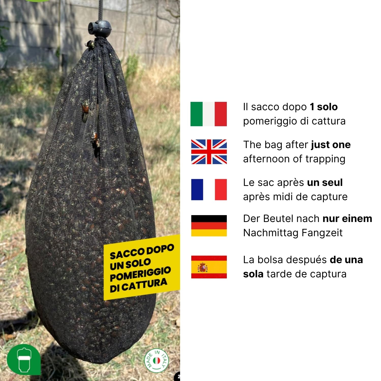 Trappola per Popillia japonica coleottero giapponese con Feromone booster, Kit Completo con 2 Sacchi di Raccolta, con una trappola copri fino a 500 m²