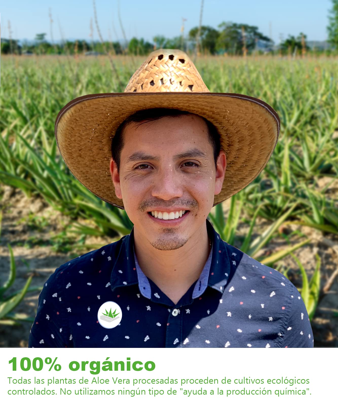 Mother Earth Products Zumo aloe vera puro ecológico 100% | Fileteado a Mano | Promedio de 1200mg/l de Aloverosa | Botellas de Vidrio Ámbar | 2 x 1000ml