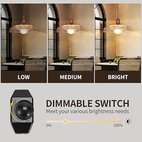 Miniatura 2 de Lámpara colgante enchufable, iluminación colgante de vidrio transparente vintage, luz colgante con cable de enchufe de 16.4 pies para cocina,