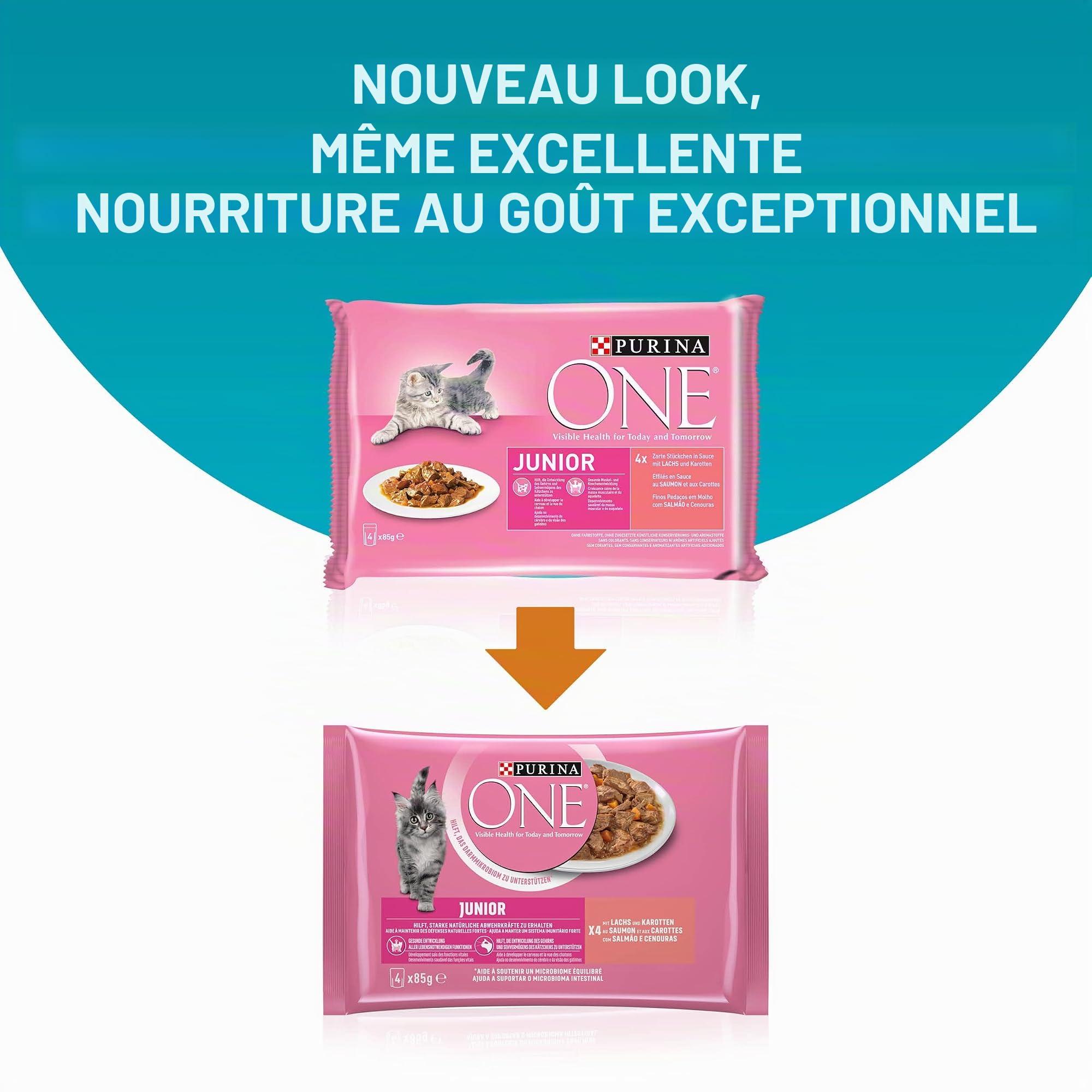 PURINA One Junior Lot de 12 boîtes de Nourriture pour Chatons humides et délicates en Sauce avec Saumon et Carottes (12 x 4 x 85 g)