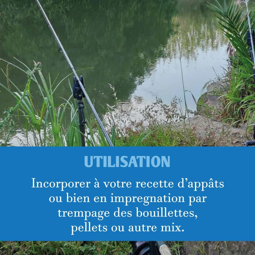 HUILE DE FOIE DE MORUE - Bidon 1 L - La Nantaise de Nutrition - Pour appâts, bouillettes, pellets et amorces - Attractif puissant pour la pêche en mer ou en rivière - Huile très odorante et appétente