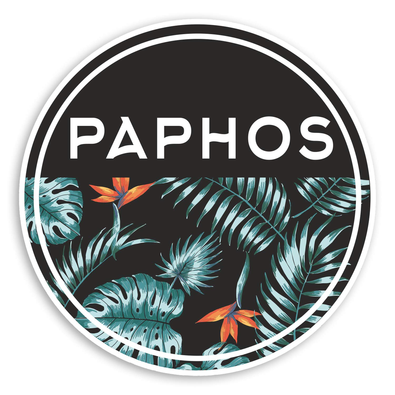 Destination Vinyl Ltd Multi 2 X 10Cm Tropical Paphos Cyprus Vinyl Stickers - Travel Luggage Sticker #31836 (10Cm Wide)