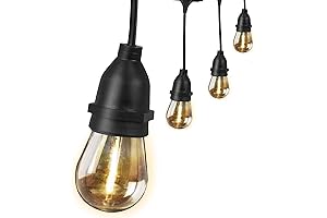 20ft Commercial-Grade Shatter-Resistant Feit Electric LED String Lights