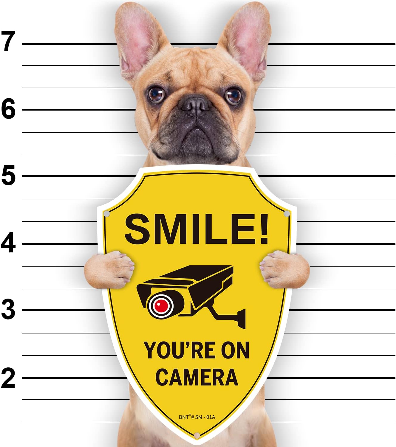 BNT 2-Pack Smile You're On Camera Signs, 10" x 7'' Aluminum Weatherproof Video Surveillance Sign Outdoor, Reflective Camera Signs for Home Security : Industrial & Scientific