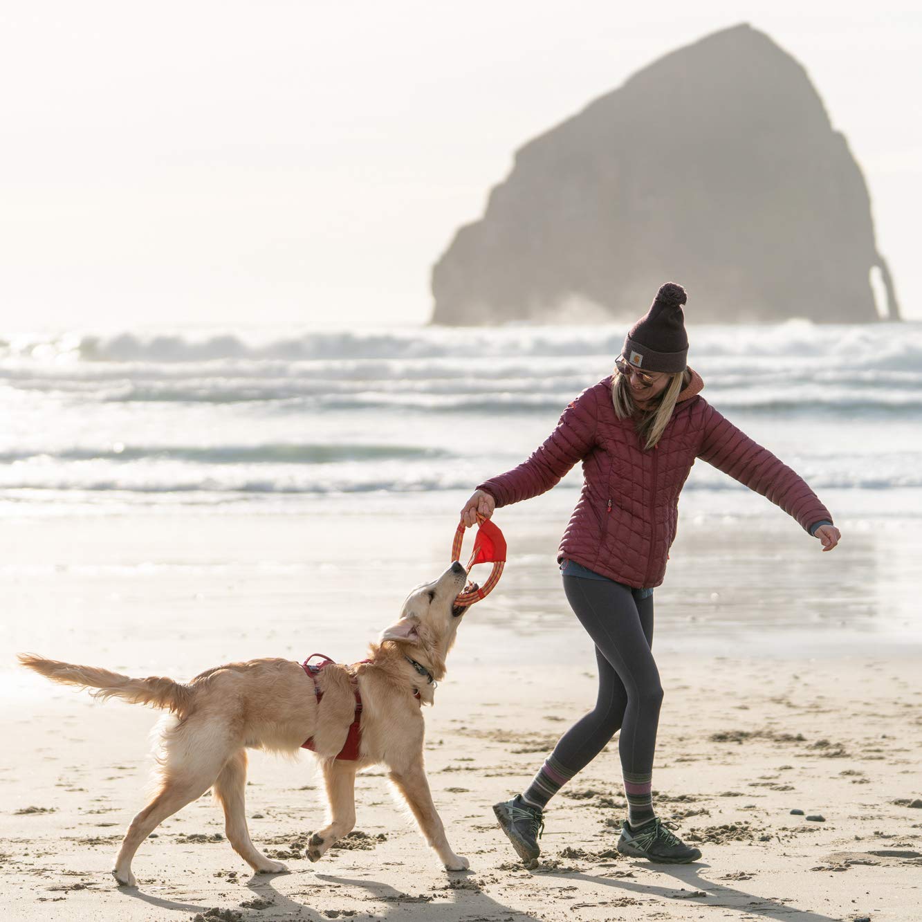 Amazon | RUFFWEAR(ラフウェア) パシフィックリングトイ ソックアイ