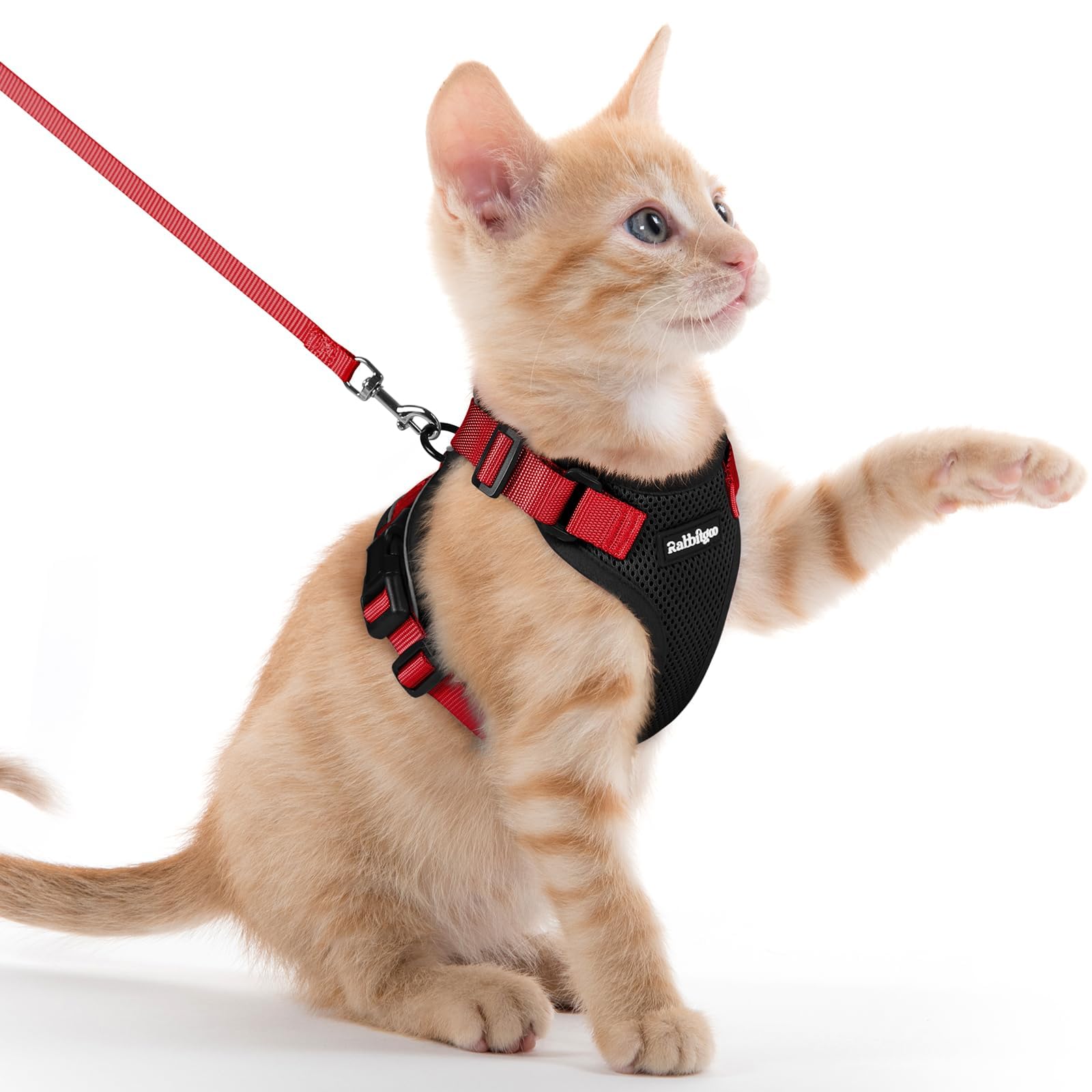 rabbitgoo Cat Harness and Lead Set, Adjustable Escape Proof Cat Lead for Walking, Reflective Kitten Harness Set, Soft and Comfortable for Kittens and Small Cats, Black & Red, XXS