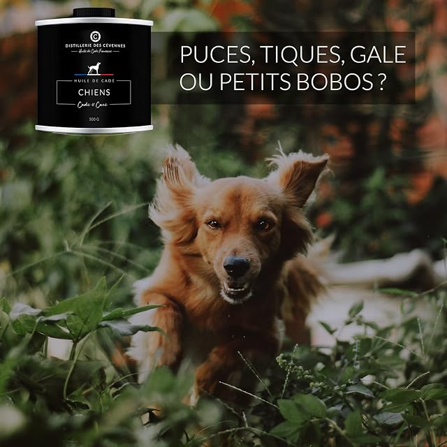 Foto 3 de 8 de Distillerie des Cévennes - Aceite de cáscara para el cuidado de los perros, 500 g