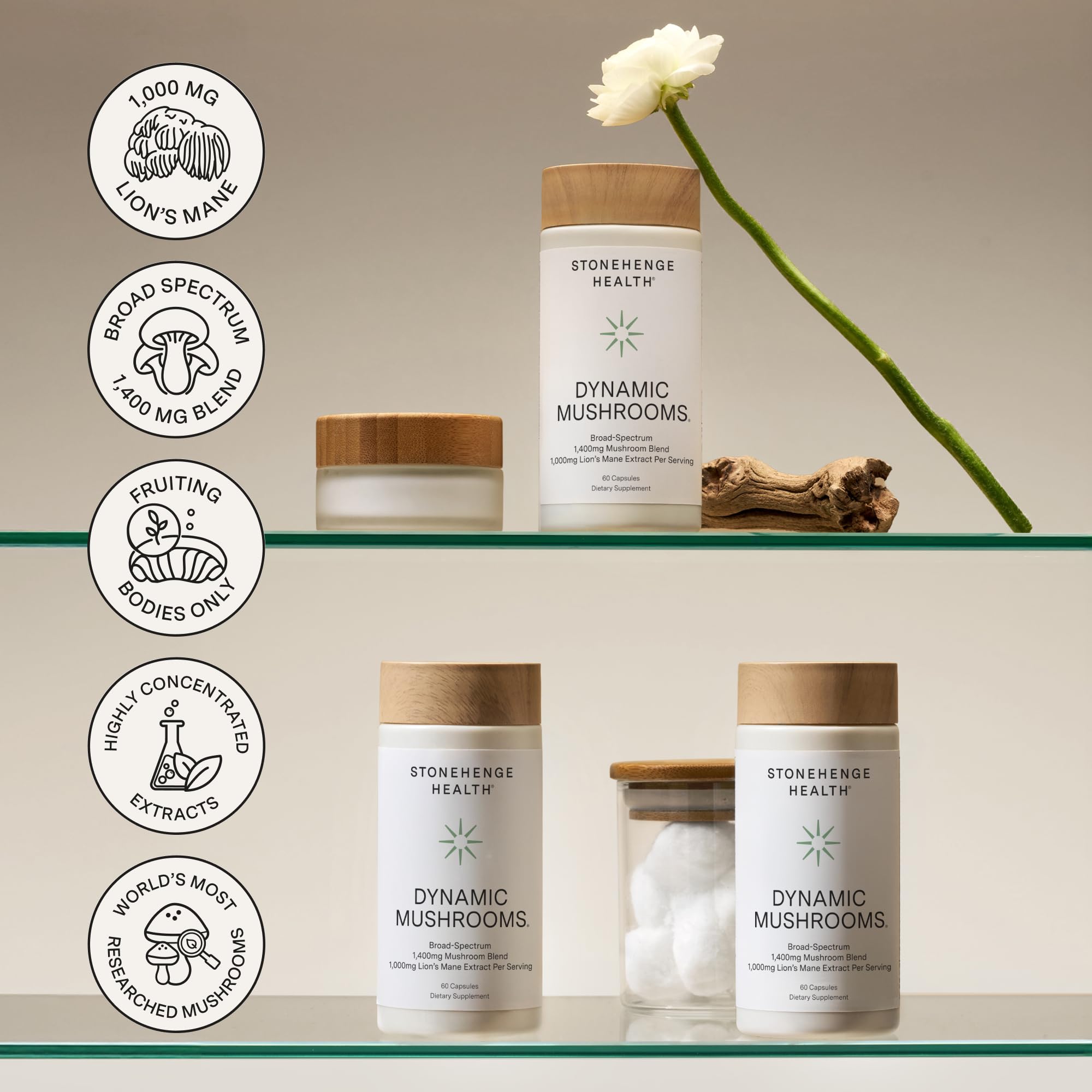 Stonehenge Health Dynamic Mushrooms® | Lions Mane+ Brain, Memory, Focus — Amazon image 5