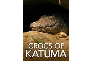 Crocs of Katuma: The Lions of Sabi Sand