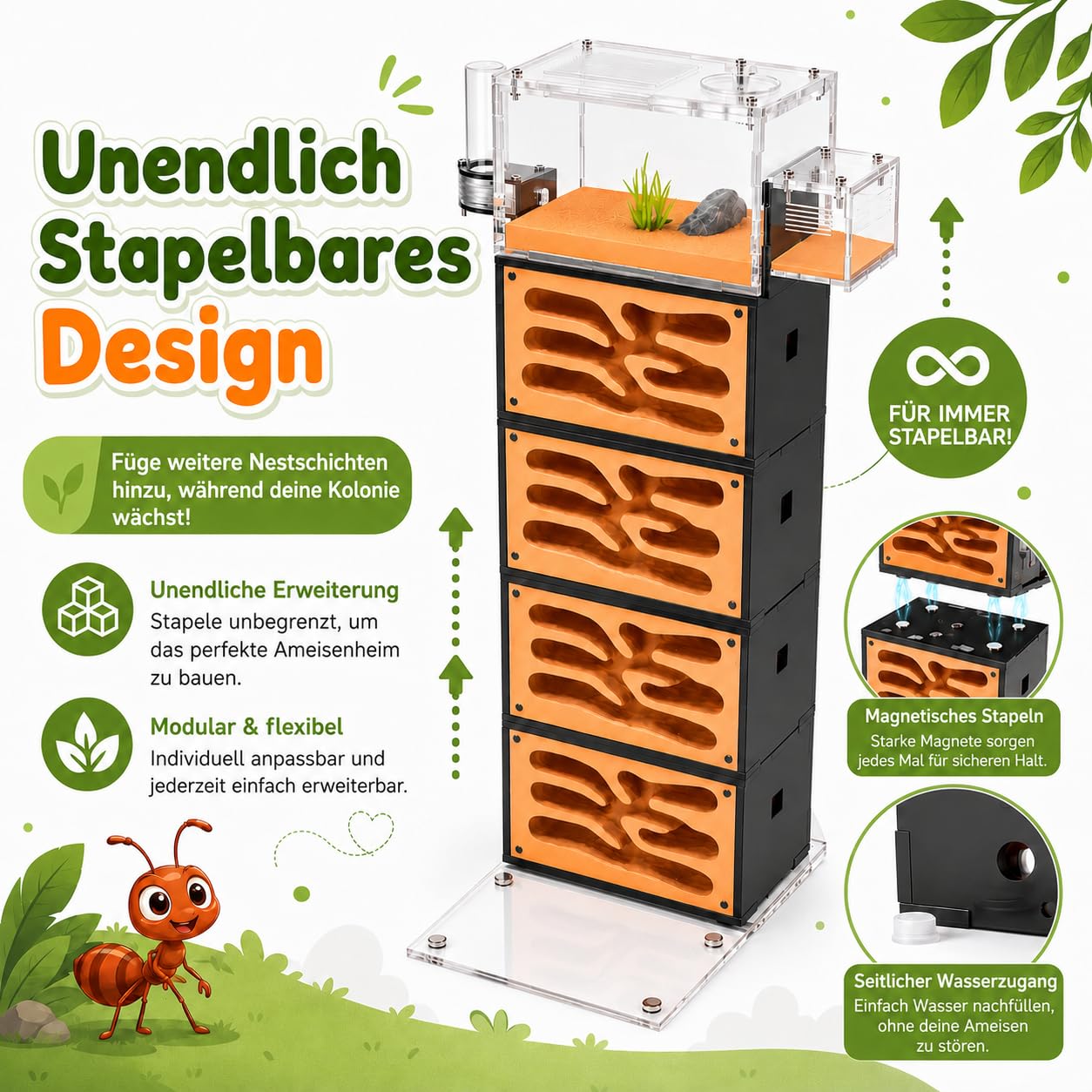 Ameisenfarm für Erwachsene - Studium des Ameisenverhaltens, Ameisennest, Terrarium, Pädagogisches Formicarium für Lebende Ameisen und Königin, Zwei Etagen