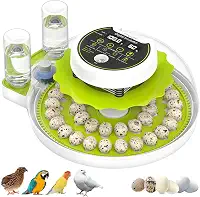 Incubadora de ovos de codorna para incubação com rotação automática de ovos e controle de umidade, 40 ovos de grande capacidade, chocadeira de codorna, também para papagaio, pomba, canário e outras
